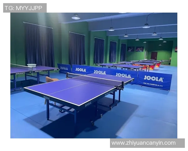 南京乒乓球队转型之路的得与失分析与展望