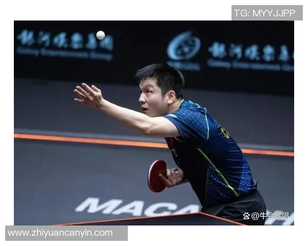 深圳网球队逆袭之路：从困境到崛起的精彩解读与展望