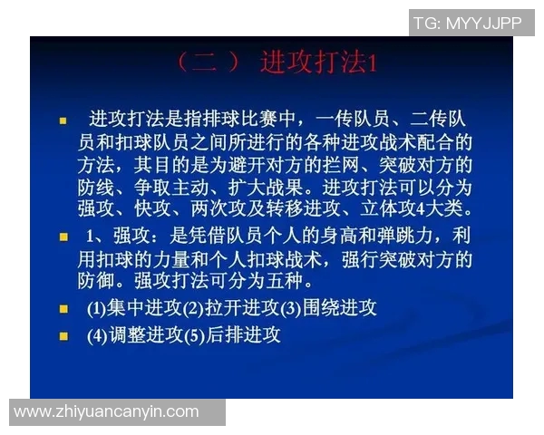 上海排球队的灵活性揭秘：从战术到训练的全方位分析与探讨
